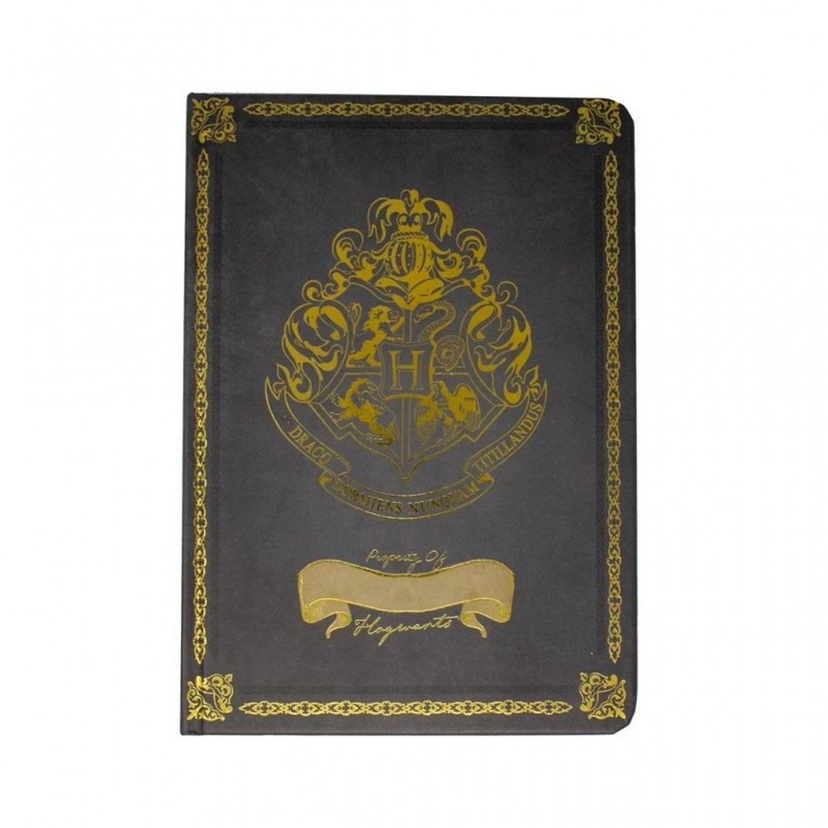 Harry Potter Hogwarts A5 notebook